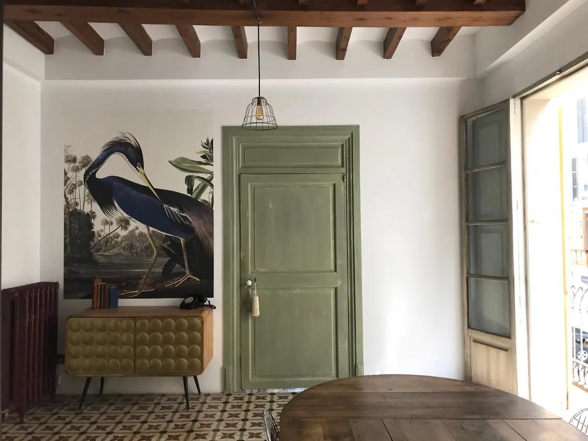 Homestay Ribellino Apartment - Dog Admiral Urban Guest House Palma de Mallorca Spain