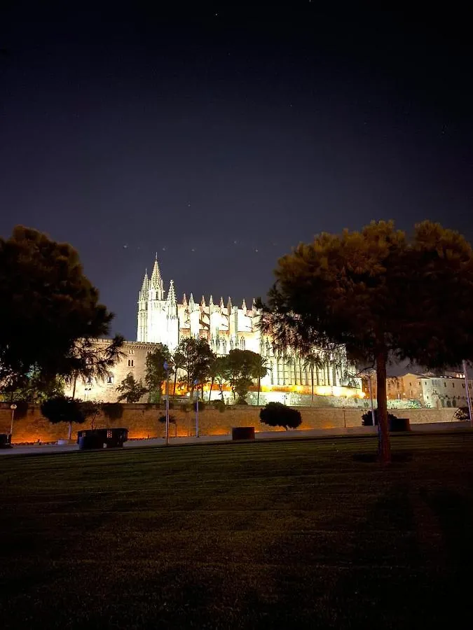 Homestay Ribellino Apartment - Dog Admiral Urban Guest House Palma de Mallorca