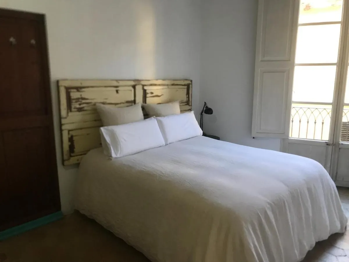 Homestay Ribellino Apartment - Dog Admiral Urban Guest House Palma de Mallorca